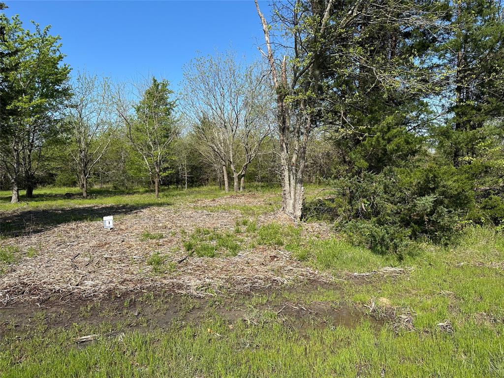 Tract 3 Farm to Market 1743 - Photo 5