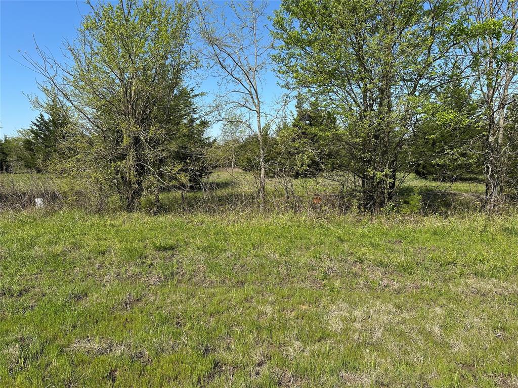 Tract 3 Farm to Market 1743 - Photo 6