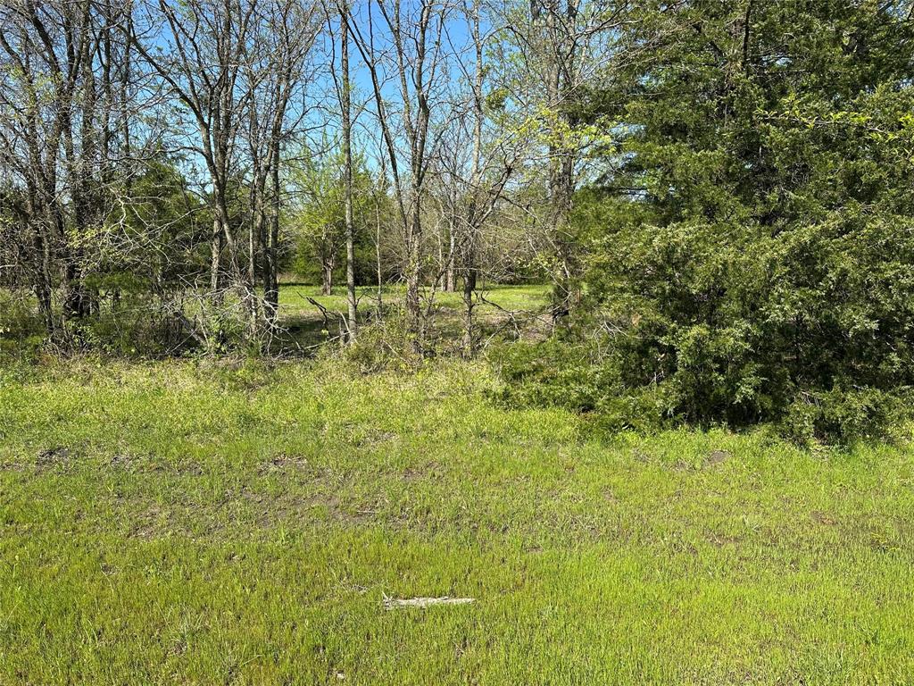 Tract 3 Farm to Market 1743 - Photo 7