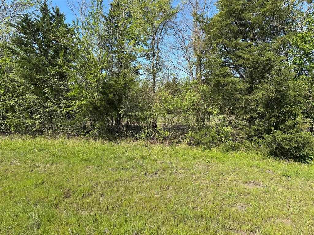 Tract 3 Farm to Market 1743 - Photo 8