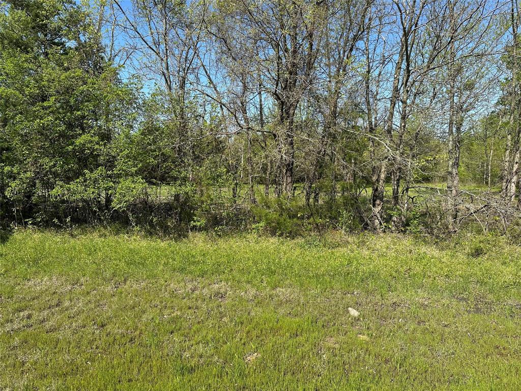 Tract 3 Farm to Market 1743 - Photo 9