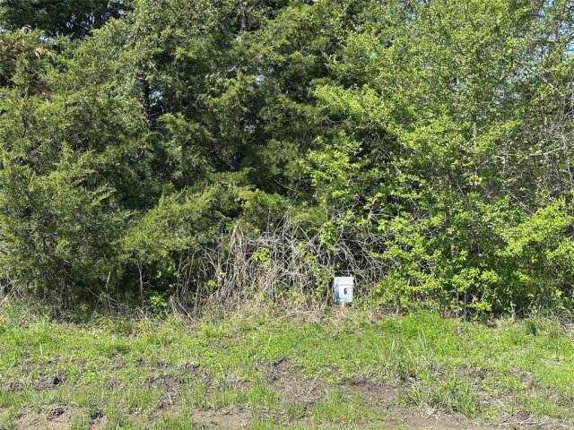 Tract 6 Farm to Market 1743