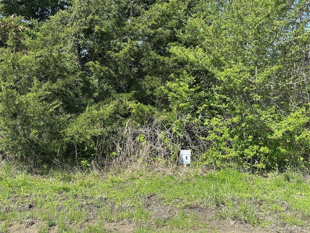 Tract 6 Farm to Market 1743 - Photo 1
