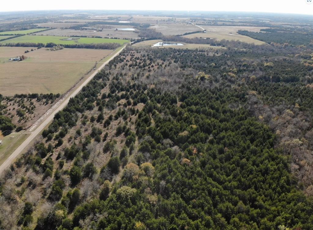 Tract 6 Farm to Market 1743 - Photo 15