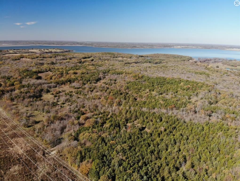 Tract 6 Farm to Market 1743 - Photo 21