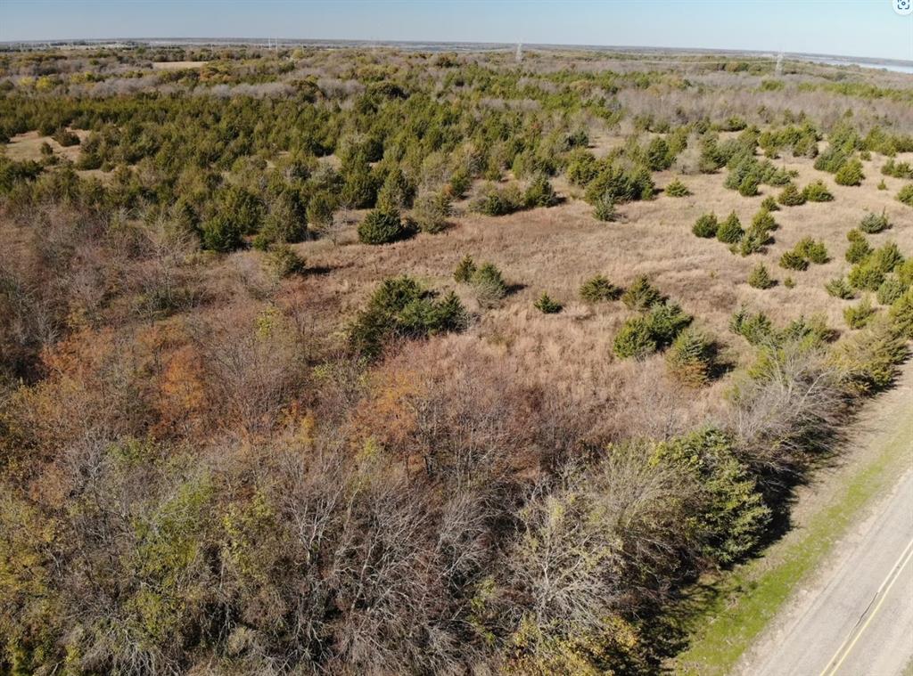 Tract 6 Farm to Market 1743 - Photo 25