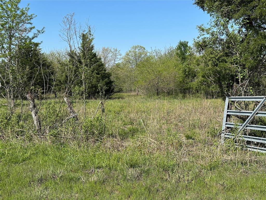 Tract 6 Farm to Market 1743 - Photo 5