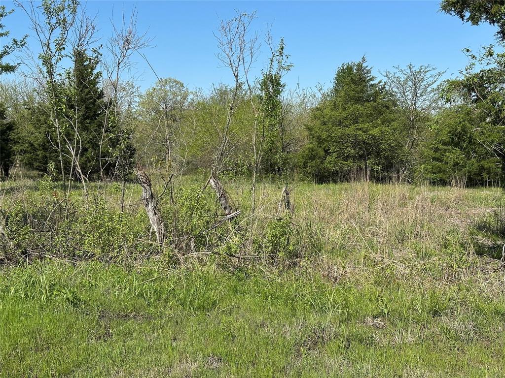 Tract 6 Farm to Market 1743 - Photo 6