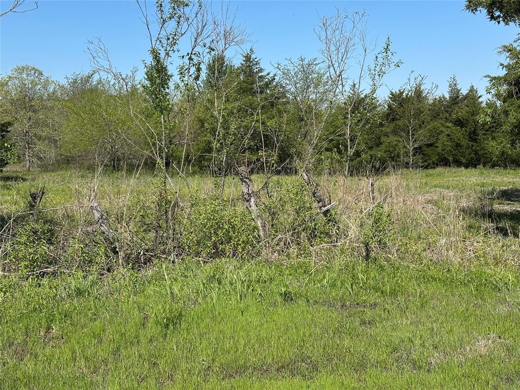 Tract 6 Farm to Market 1743 - Photo 7