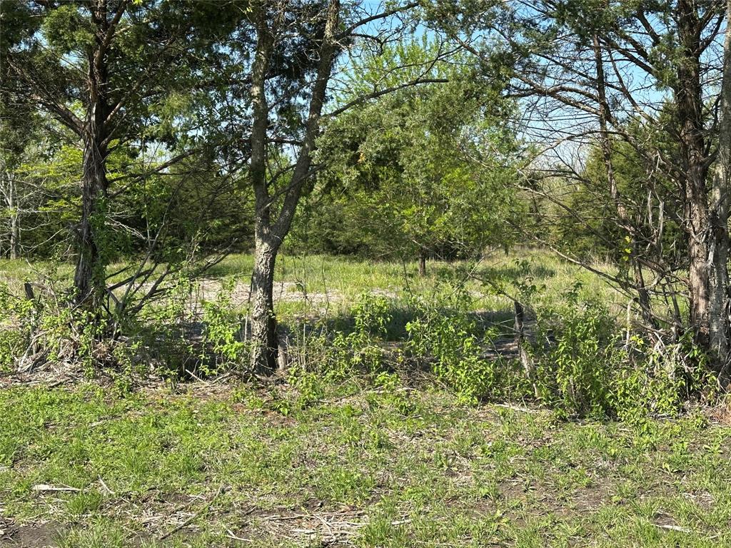 Tract 6 Farm to Market 1743 - Photo 8