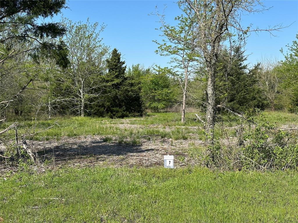 Tract 7 Farm to Market 1743 - Photo 2