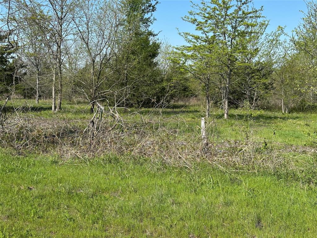 Tract 7 Farm to Market 1743 - Photo 5