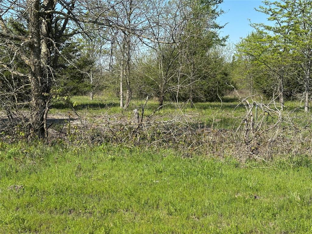 Tract 7 Farm to Market 1743 - Photo 6