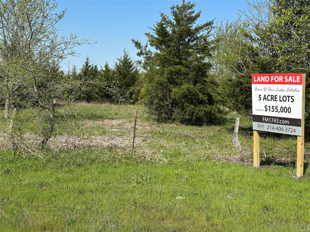 Tract 8 Farm to Market 1743 - Photo 5