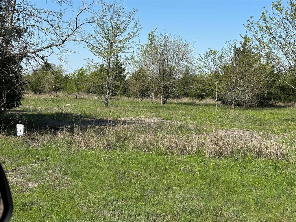 Tract 8 Farm to Market 1743 - Photo 7