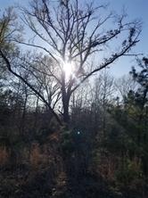 1140 CR-3412 - Photo 30