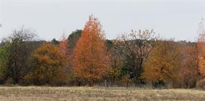 1140 CR-3412 - Photo 31