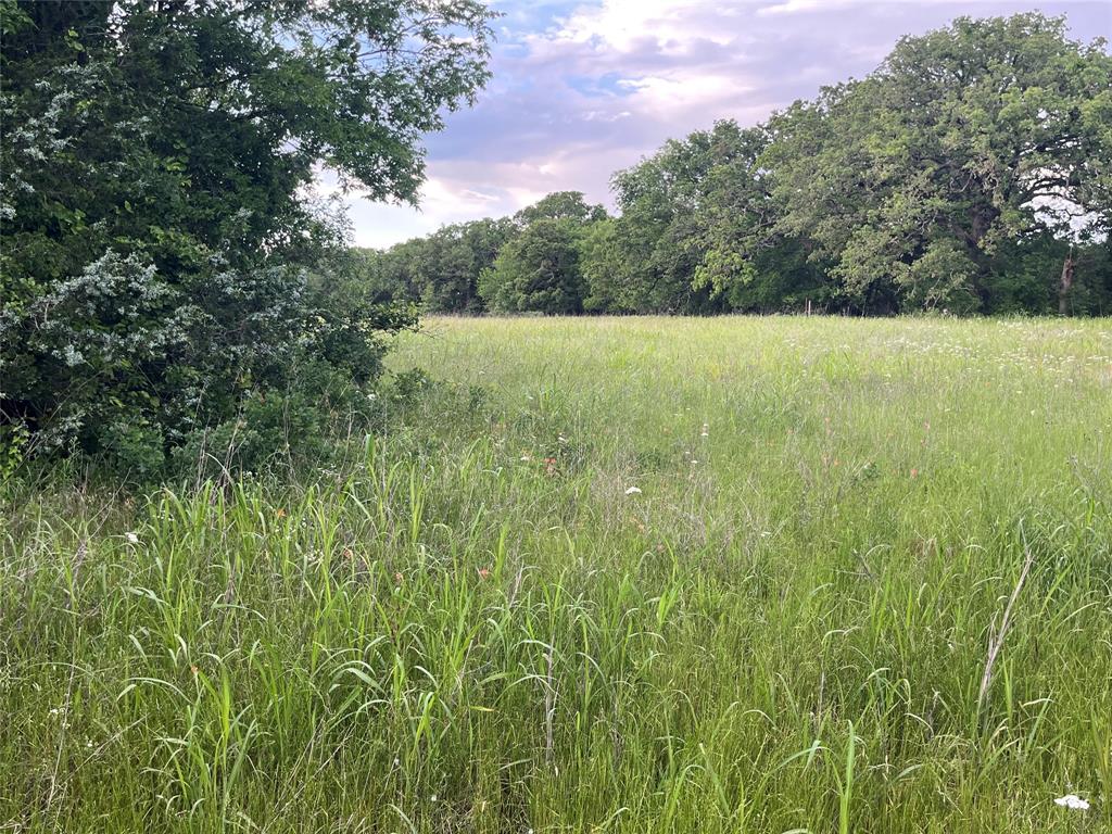 Tract 1 Fm 3043 - Photo 1