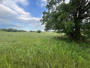 Tract 1 Fm 3043 - Photo 3