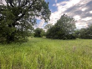Tract 1 Fm 3043 - Photo 4