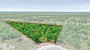 TBD Doe Lane - Photo 2