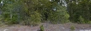 117 Running Deer Road - Photo 3