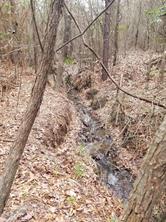 1140 Lot 2 CR-3412 - Photo 11