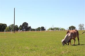 1140 Lot 2 CR-3412 - Photo 5