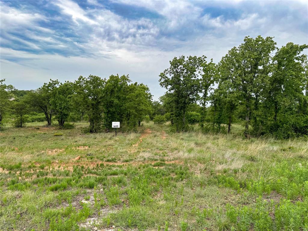 Lot 83 Shoreline Drive - Photo 1