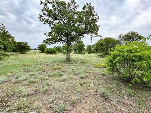 Lot 83 Shoreline Drive - Photo 12