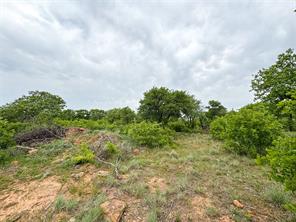 Lot 83 Shoreline Drive - Photo 13
