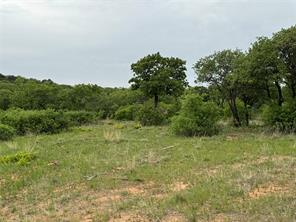 Lot 83 Shoreline Drive - Photo 16