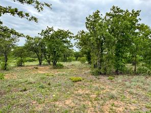 Lot 83 Shoreline Drive - Photo 18
