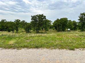 Lot 83 Shoreline Drive - Photo 19
