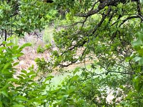 Lot 83 Shoreline Drive - Photo 4