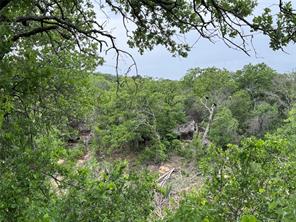 Lot 83 Shoreline Drive - Photo 5