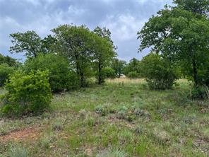 Lot 83 Shoreline Drive - Photo 6