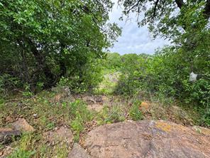 Lot 83 Shoreline Drive - Photo 7