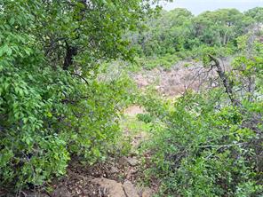 Lot 83 Shoreline Drive - Photo 9
