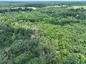 TBD CR 431 Road - Photo 10