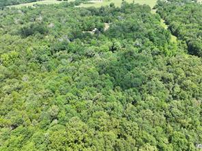 TBD CR 431 Road - Photo 11