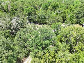 TBD CR 431 Road - Photo 14