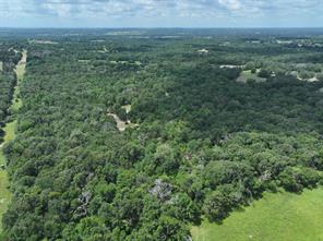 TBD CR 431 Road - Photo 2