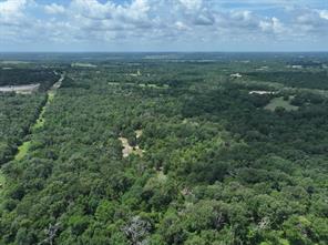 TBD CR 431 Road - Photo 3