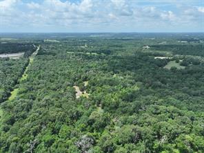 TBD CR 431 Road - Photo 4