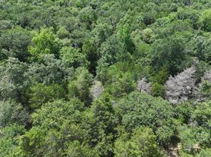 TBD CR 431 Road - Photo 6