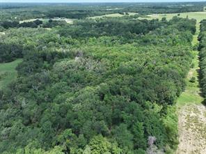 TBD CR 431 Road - Photo 8