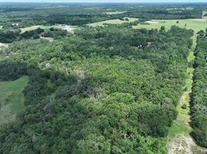 TBD CR 431 Road - Photo 9