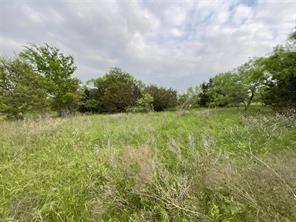 1024 Goodnight Trail - Photo 11