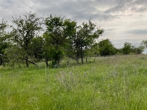 1024 Goodnight Trail - Photo 12